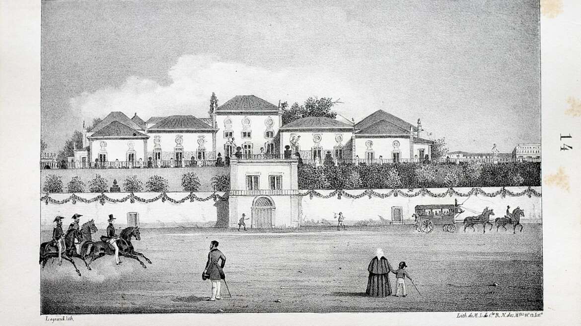 Presidenciais 2026: APG e Observador traçam a genealogia dos candidatos